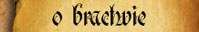 O bractwie